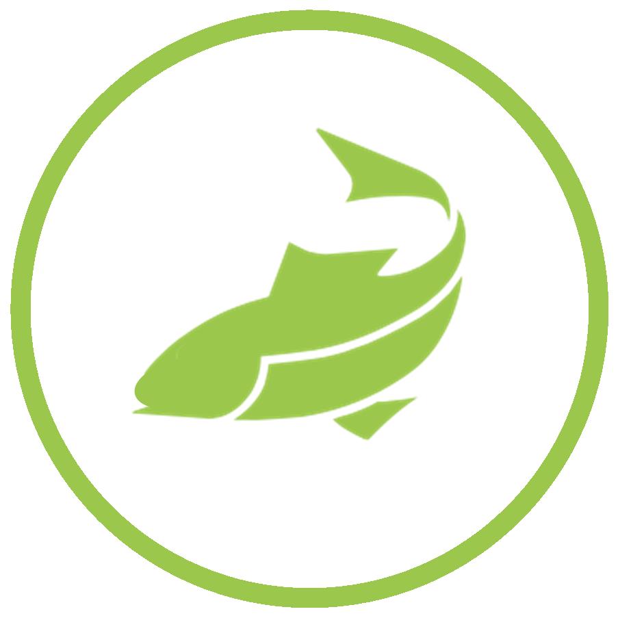 Environment
